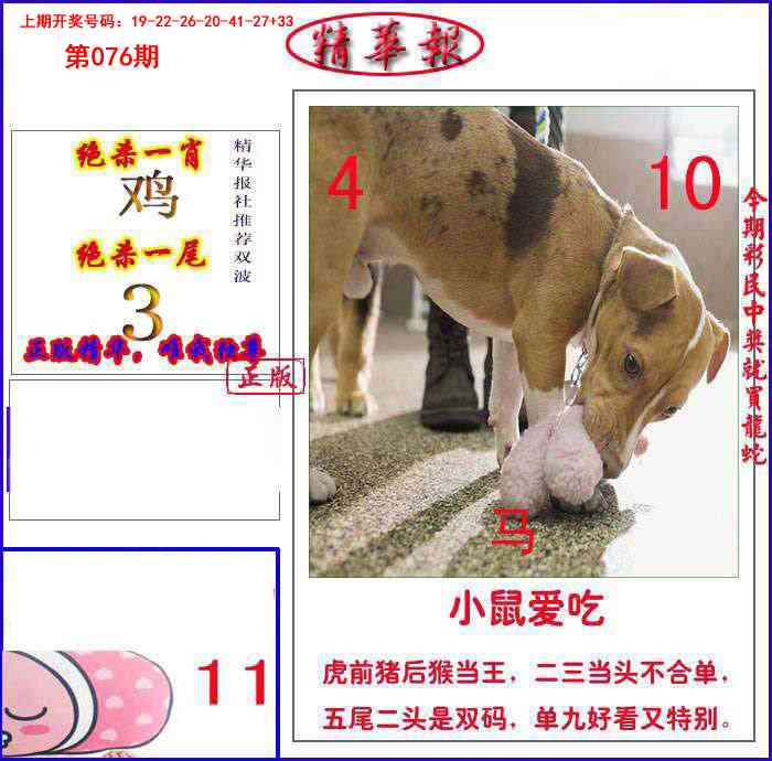 076期新精华报报[图]